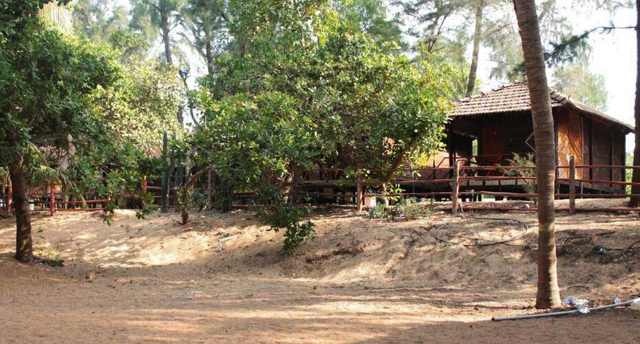 Patang Resort, Gokarna 4